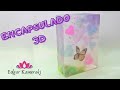 CLASE GRATUITA : ENCAPSULADO 3D, jabón de glicerina, Melt and pour (clase completa)