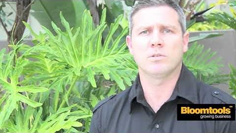 Bloomtools Franchisee Testimonials