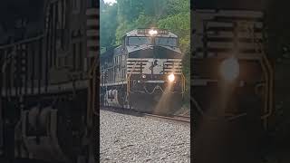 NS 4380 leading a intermodal