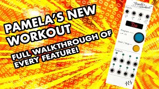 ALM Busy Circuits Pamela's NEW Workout - Eurorack Module on