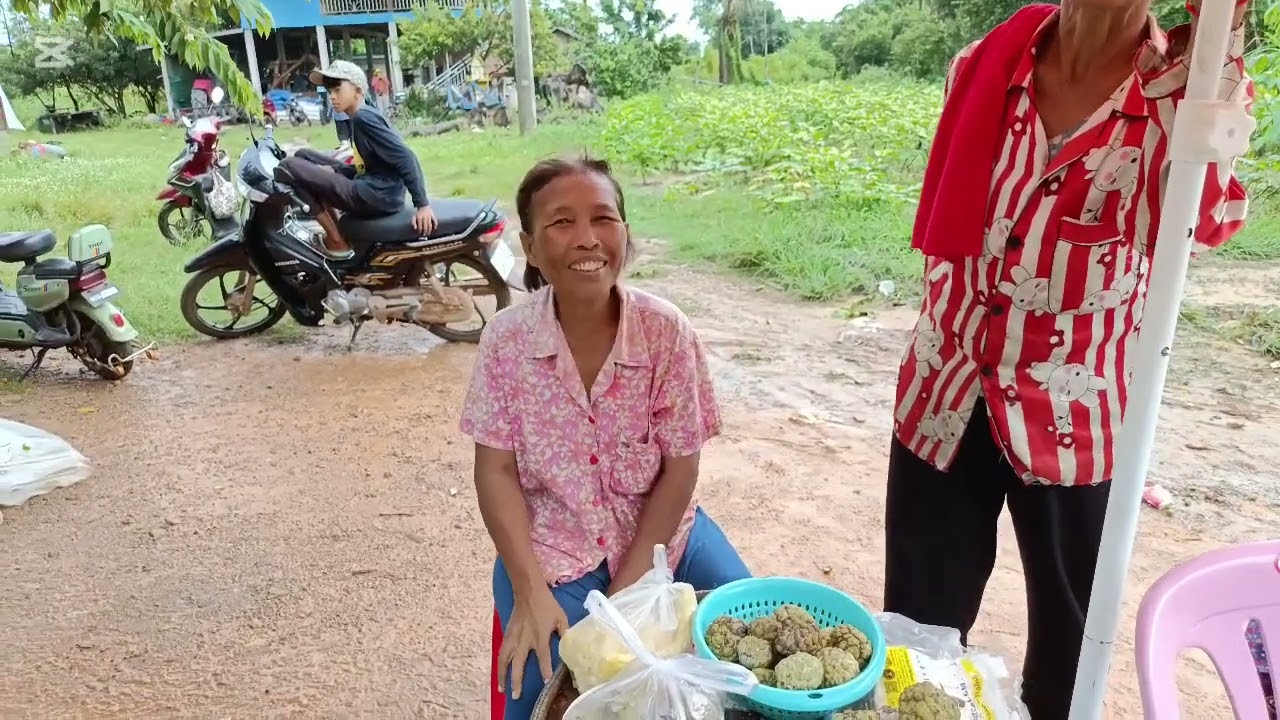 បន្លែធម្មជាតិ ដាំមុខផ្ទះ