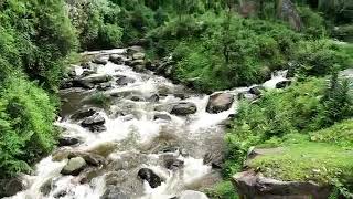 himachali song  #valleys #barot #kufri #manimahesh #hadsar #thegreathimalyannationalpark#tirthan