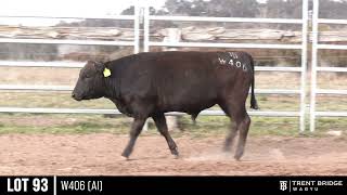 LOT 93 W406 AI