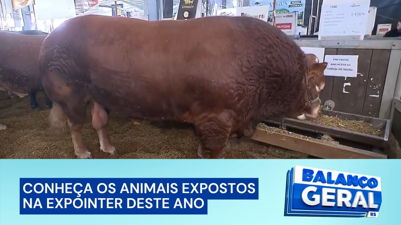 Expointer 2024