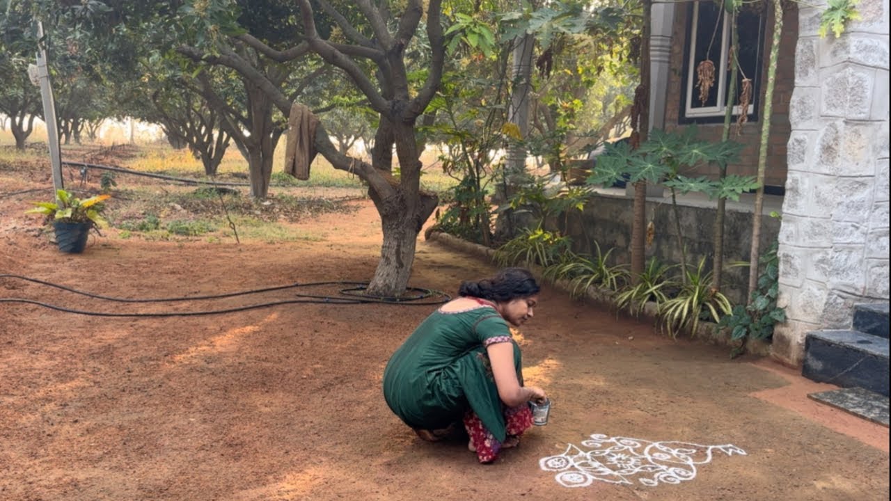 చేతికి వచ్చిన పంట ఇలా అయితే ఆ భాద చెప్పలేం ॥రైతు కష్టం వెలకట్టలేనిది ॥madhuvanam 