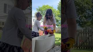 The More Wildflowers The Better shorts wildflowers garden gardening planting flowers
