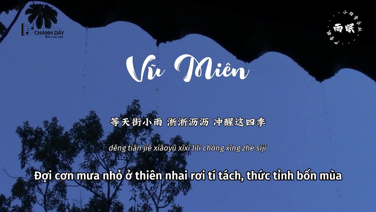 Video YouTube
