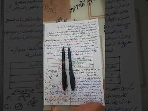 فيديو: ما هو لون الماشية القصيرة؟