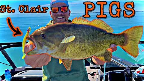 EARLY April Lake St. Clair Smallmouth Fishing 2022