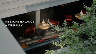 Urban Oasis Spa | Premium Spa Experience in Thonglor