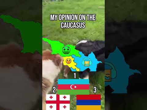 My opinion on