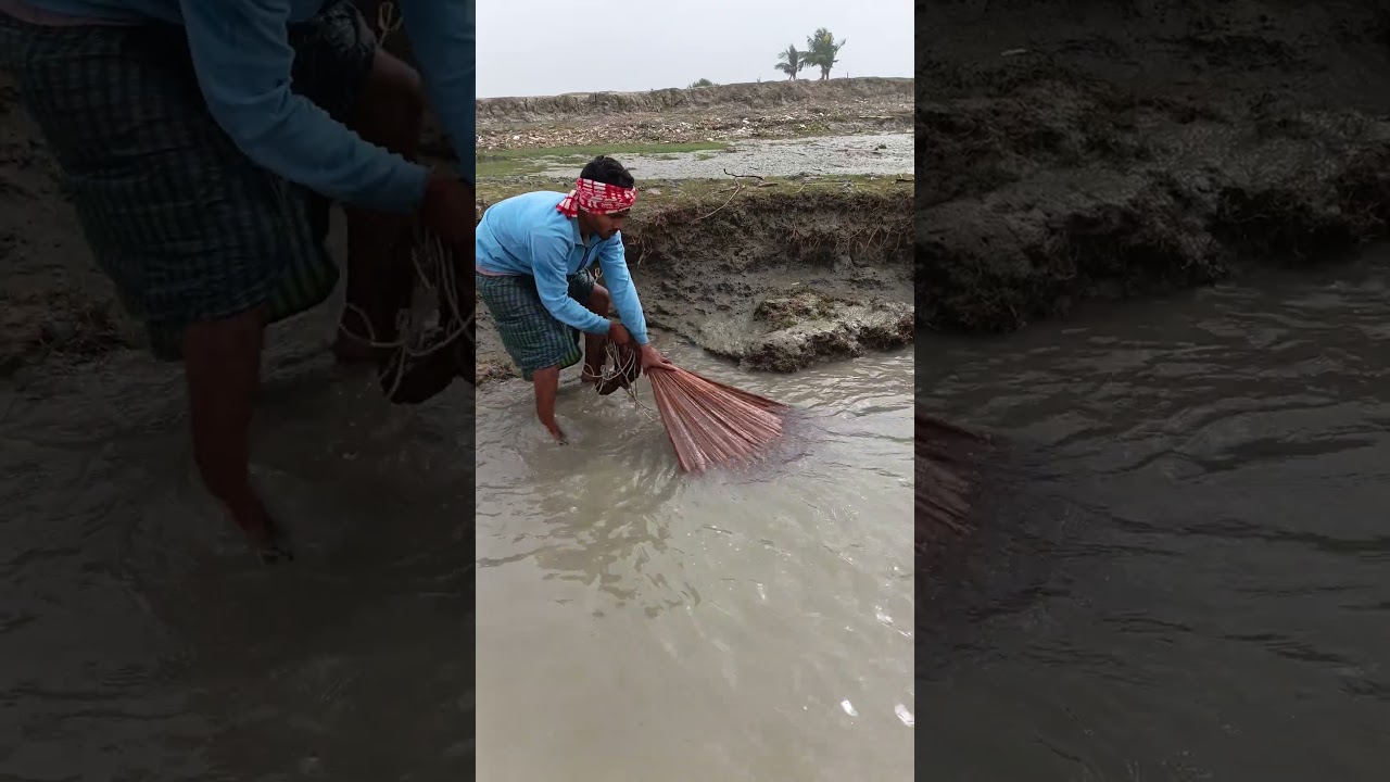 Amazing net Fishing Video 