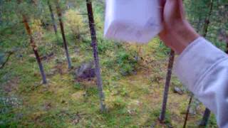 Mjölkpaket Från 4An Elevhemmet Hammaren Ljusdal