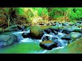 Relaxing River Sounds 🌊 10 Hours for Deep Sleep and Calm Relaxation