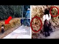 They Find A Possessed Woman On The Road - 7 Horror Videos