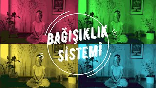 Yoga Terapi Bağışıklık Sistemine Yönelik Pratikler