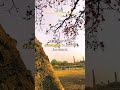 #ytshorts #creativecontentcreator #relatable #motivational #viral #explorepage #fyp