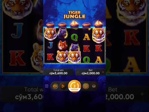 Onlayn Kasino Jonli Dilerlar: O'zingizning Sevimli Onlayn Kasino O'yinlari - Uzbekistan