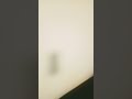 random sound I made into a short #short#funny #fypシ #fypシ゚viral #fyp
