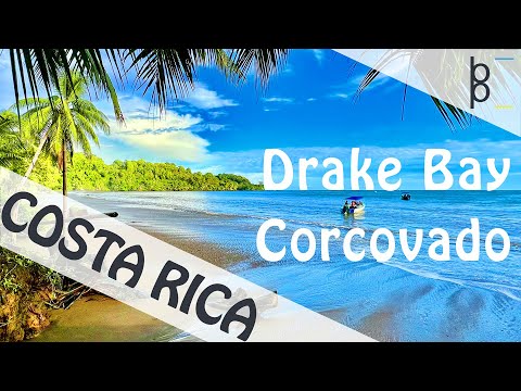 Drake Bay | Corcovado Costa Rica 4K | National Park Tour  | Part 4