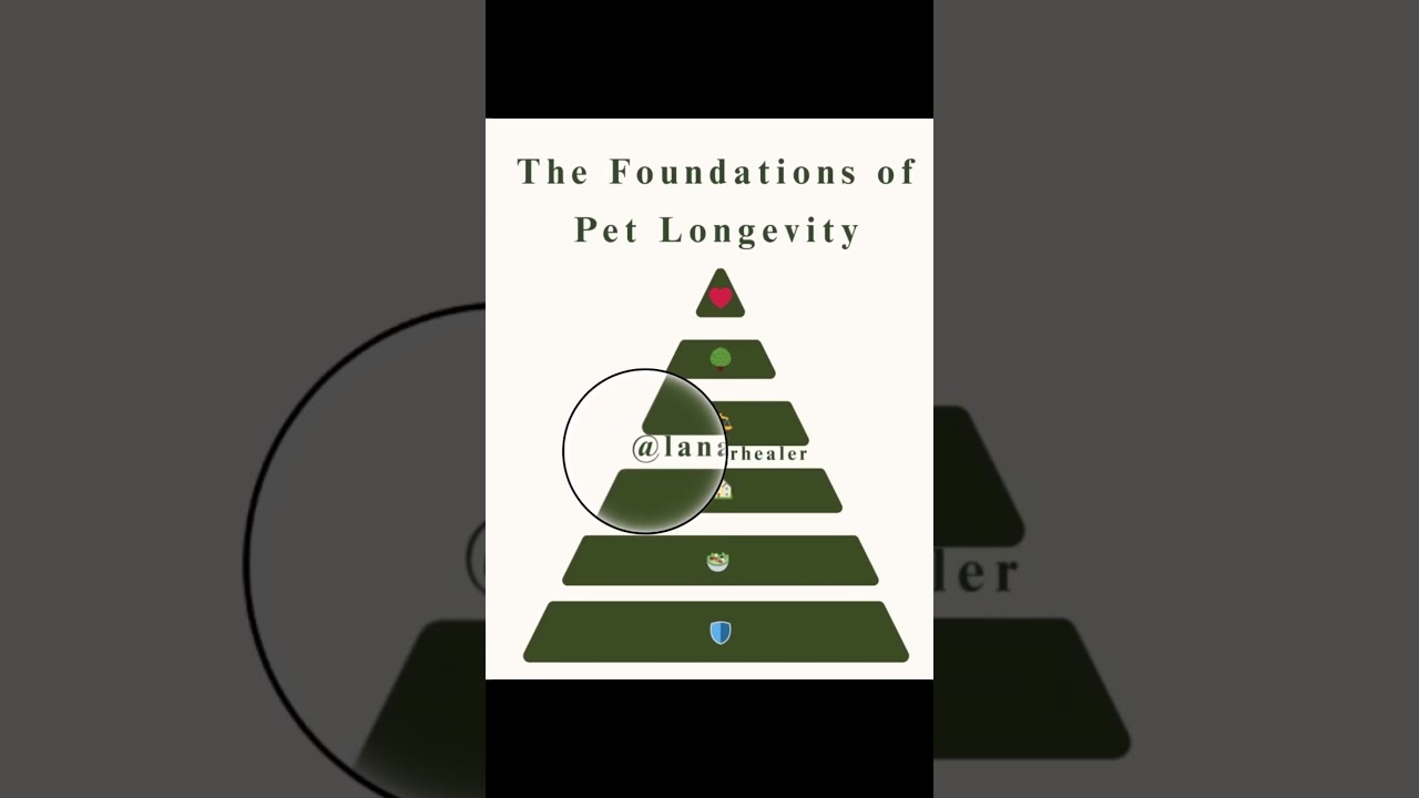 Cats. Dogs. Kittens. Pet longevity. Longevity for dogs. Biohacking pets. Holistic pet coach