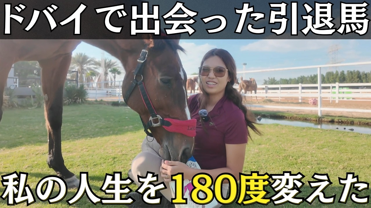 【実話】ドバイの片隅で出会った1頭の馬が、私の人生を180度変えた話。