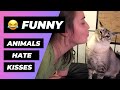 Animals Hate Kisses 🔴 Funny Cats And Dogs Hate Kisses - Perros y Gatos Odian Los Besos
