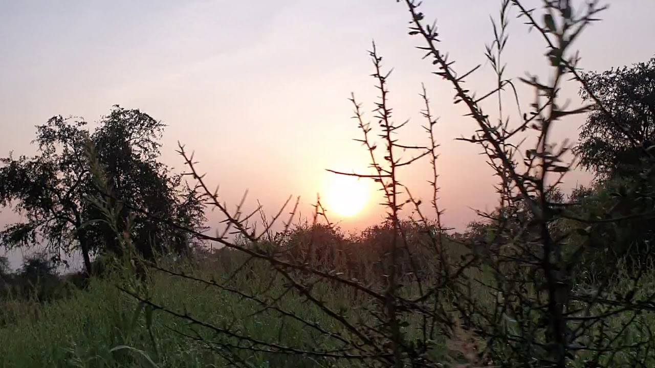 Kafta Sheraro National Park,  Tigrai 2020