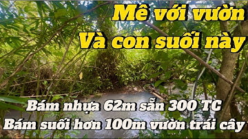 MÊ LẮM MẢNH VƯỜN CÂY TRÁI VIEW SUỐI NÀY. anh lộc bài bạc nợ nần cần bán gấp có thương lượng.