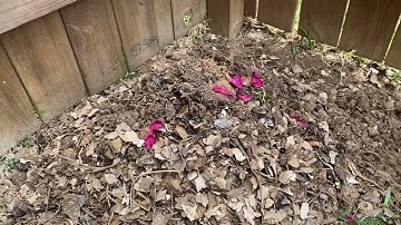 Making Compost, It’s Very Easy | Cold Composting