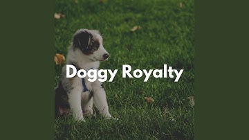 Understated Backdrops for Lazy Hound