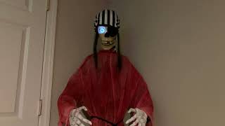 Gemmy Halloween 2007 Animated Life Size “Poseable Pirate Skeleton”