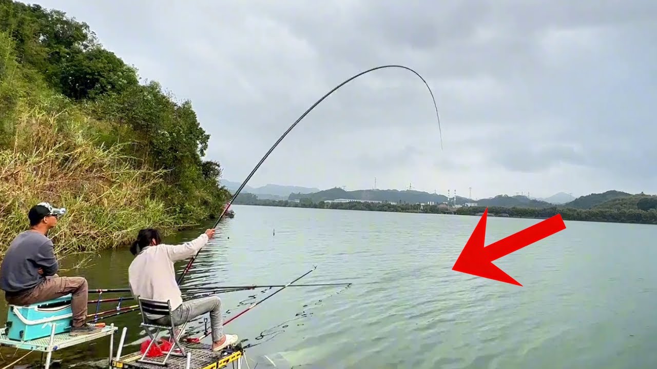 深入峽谷腹地，體驗懸崖釣位，尋找大鰱鳙#野釣 #釣魚 #休閒娛樂