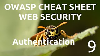 Simplifying OWASP Cheat Sheet - Authentication - part 9 (example good & bad authentication messages)