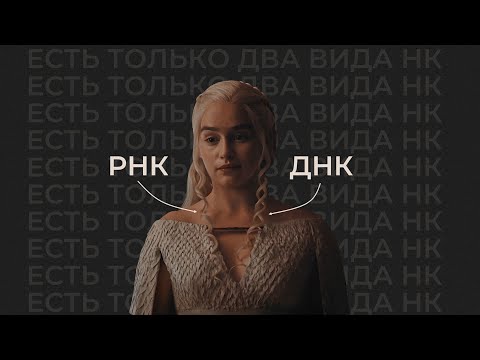 ДНК и РНК | Нуклеиновые кислоты: строение, функции и задачи ЕГЭ