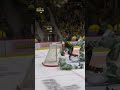 Oliver Okuliar med snyggt mål (Skellefteå AIK mot Rögle BK i SHL i Skellefteå i Sverige) (#Shorts)