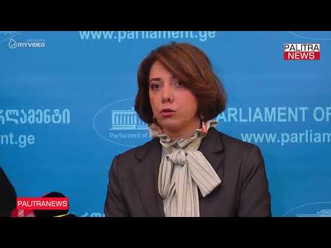 ნაციონალური მოძრაობის წევრები ვენეციის კომისიის დელეგაციას შეხვდნენ