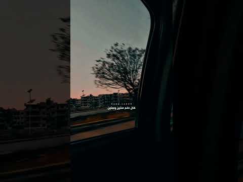 حلم سنين زادوا العشاق اثنين تامر حسني لايك حالات واتس اب حالات حب 