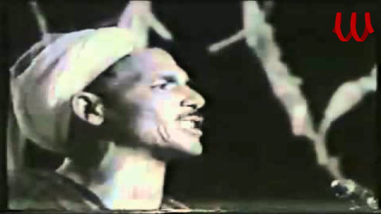 SHAWKE Kenawy - kan lea taer / شوقي القيناوي - كان ليا طير