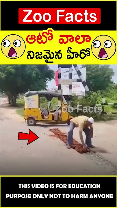 auto-man-is-the-real-hero-zoofacts-zoofactstelugu