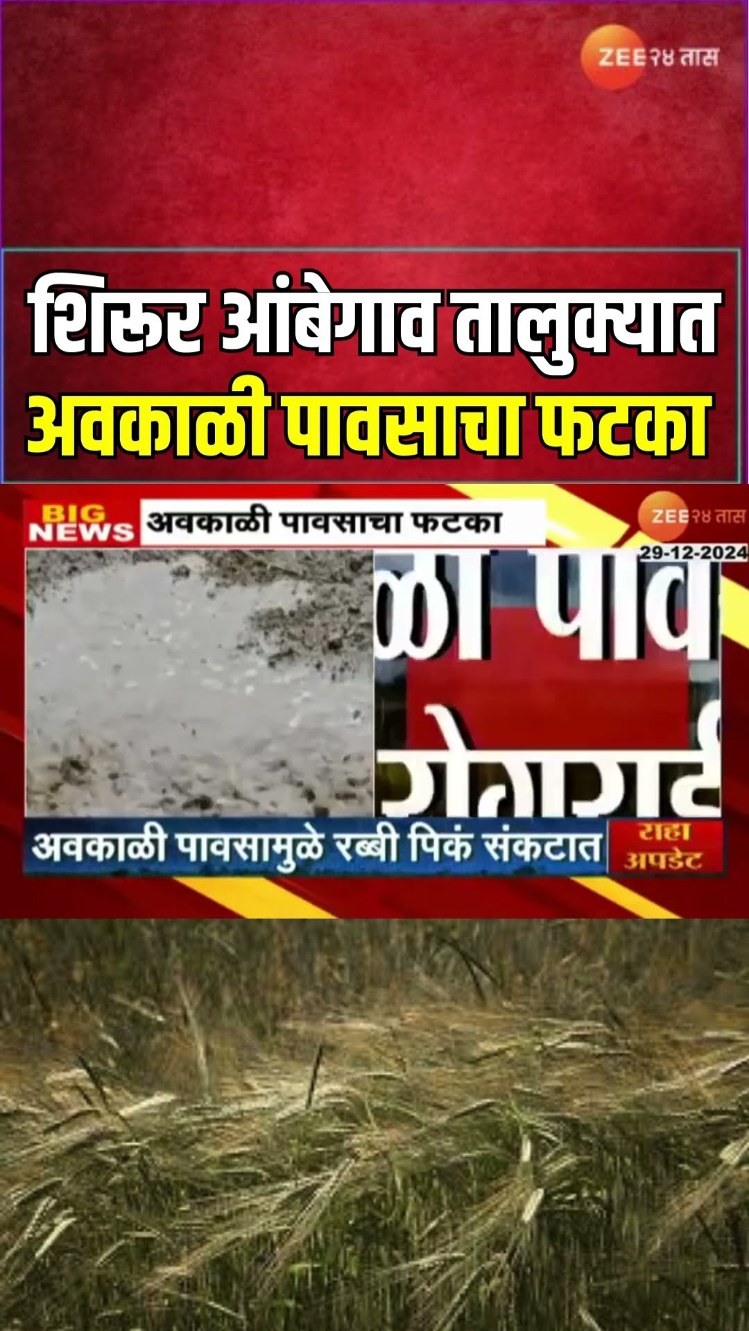 Shirur-Ambegaon Unseasonal Rainfall | शिरूर आंबेगाव तालुक्यात अवकाळी पावसाचा रब्बी पिकांना मोठा फटका