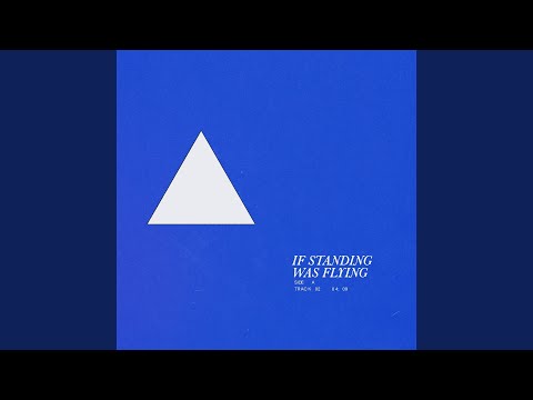 If Standing Was Flying - Stephen Day