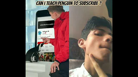 can I teach penguin to subscribe?    #mrbeast #shorts #subscribe  @MrBeast @Flameeditsofficiall