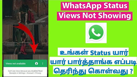 How To Fix WhatsApp Status Views Not Showing in Tamil