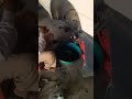 my work shop video is