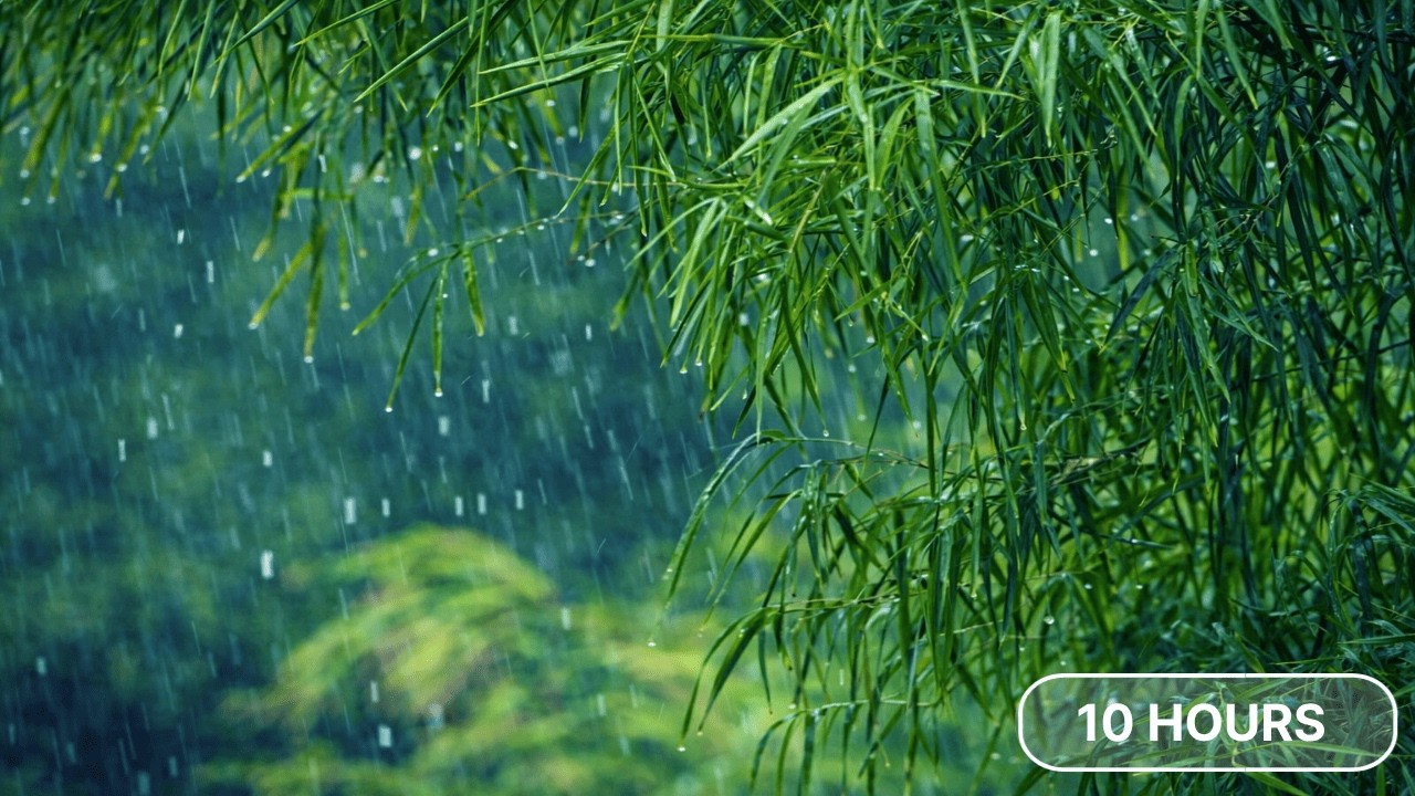Rain Sounds for Deep Sleep (10 Hours) – No Thunder | All Night White Noise