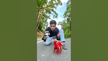 Remote Control Camel Unboxing #shortsfeed #shorts #viral #rc #camel #ytshorts