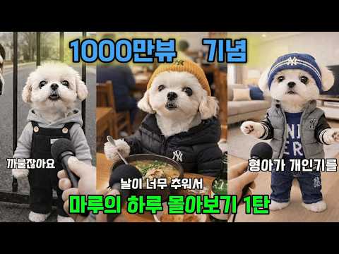 Animal 표지 1
