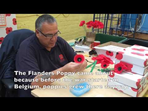 Poppy Scotland: Lady Haig Poppy Factory