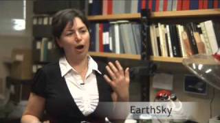 Miriam Goldstein on the Great Pacific Garbage Patch